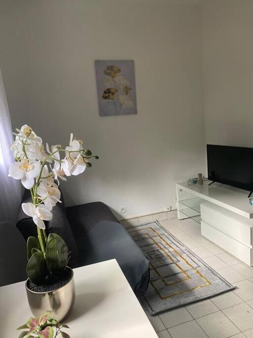 Appartement Cosy 15 Min D'Orly Longjumeau Ngoại thất bức ảnh